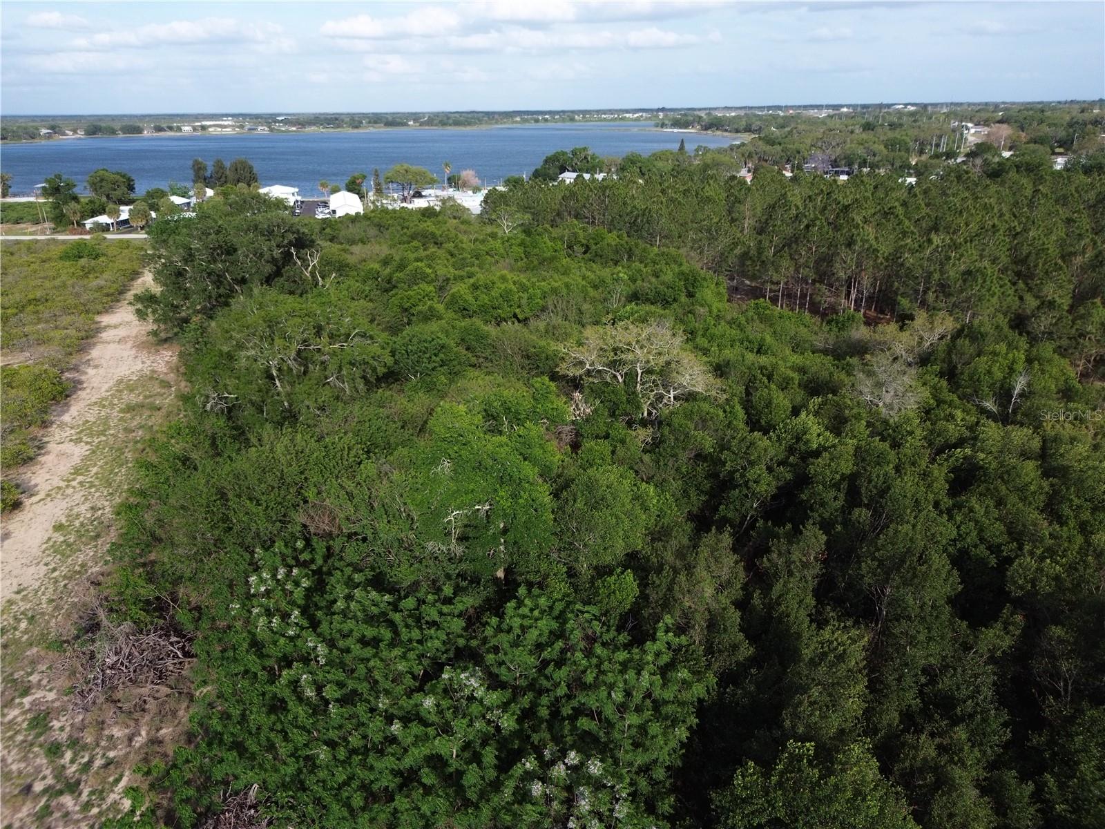 3055 SR-17 N, SEBRING, FL — photo 2