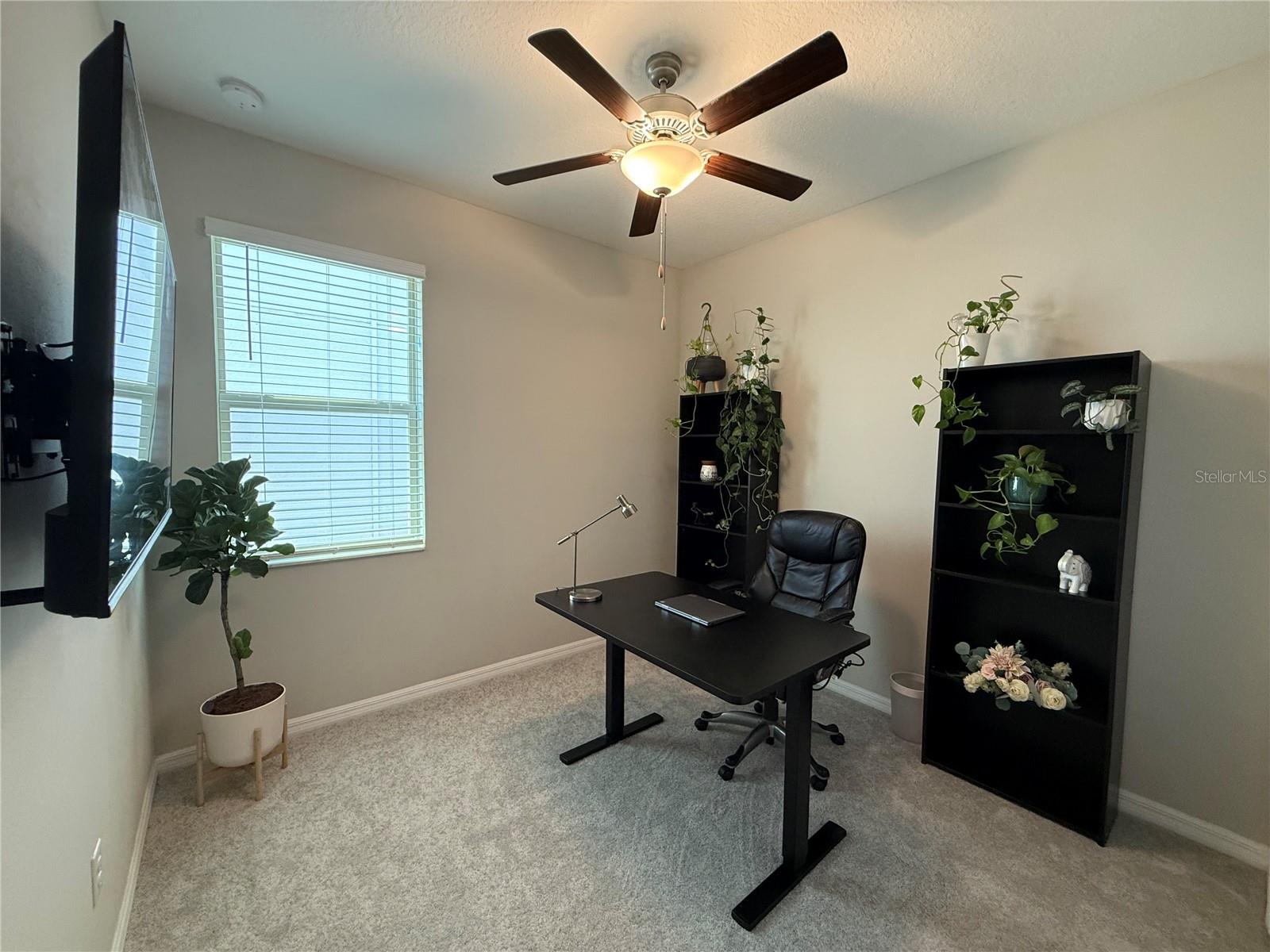 9601 FLOURISH DR, LAND O LAKES, FL — photo 24