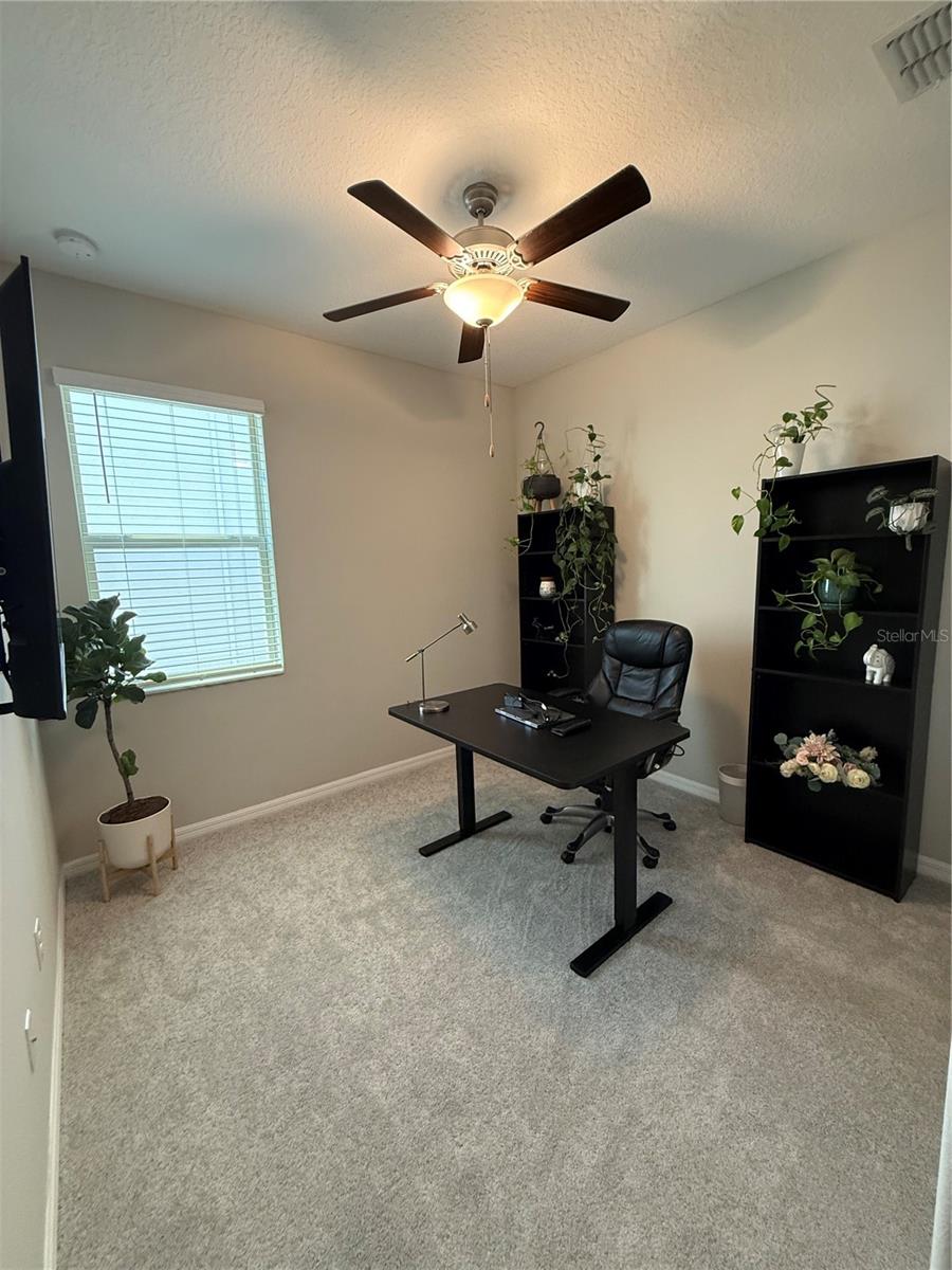 9601 FLOURISH DR, LAND O LAKES, FL — photo 25