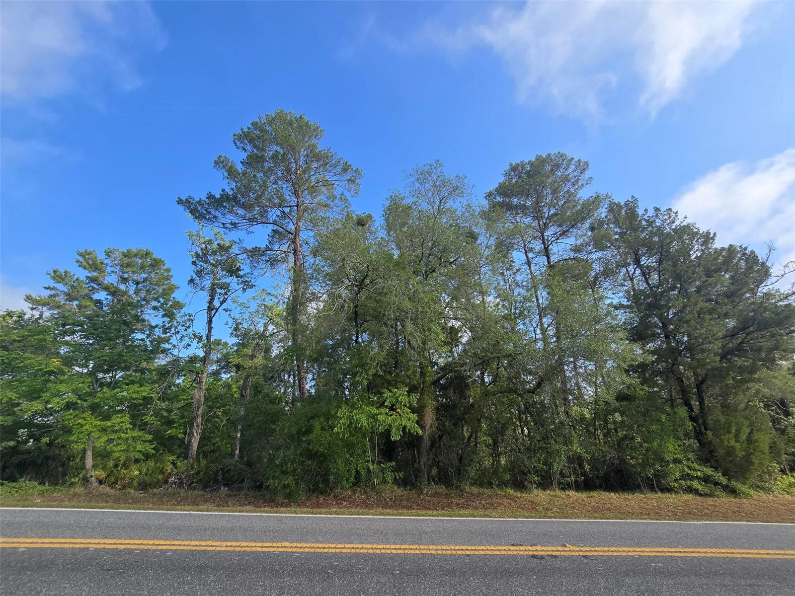 10185 NODDY TERN RD, WEEKI WACHEE, FL — photo 3