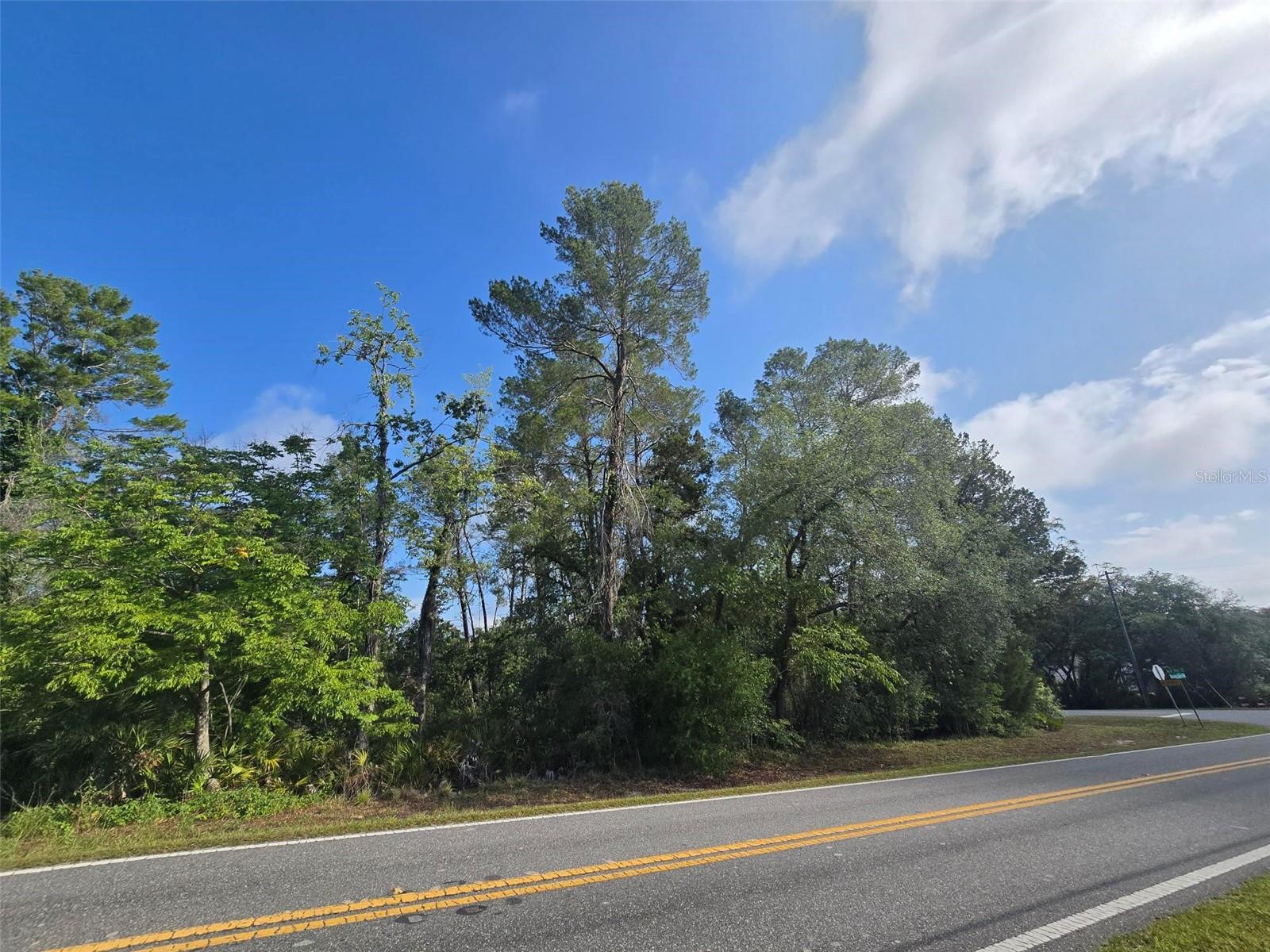 10185 NODDY TERN RD, WEEKI WACHEE, FL — photo 4
