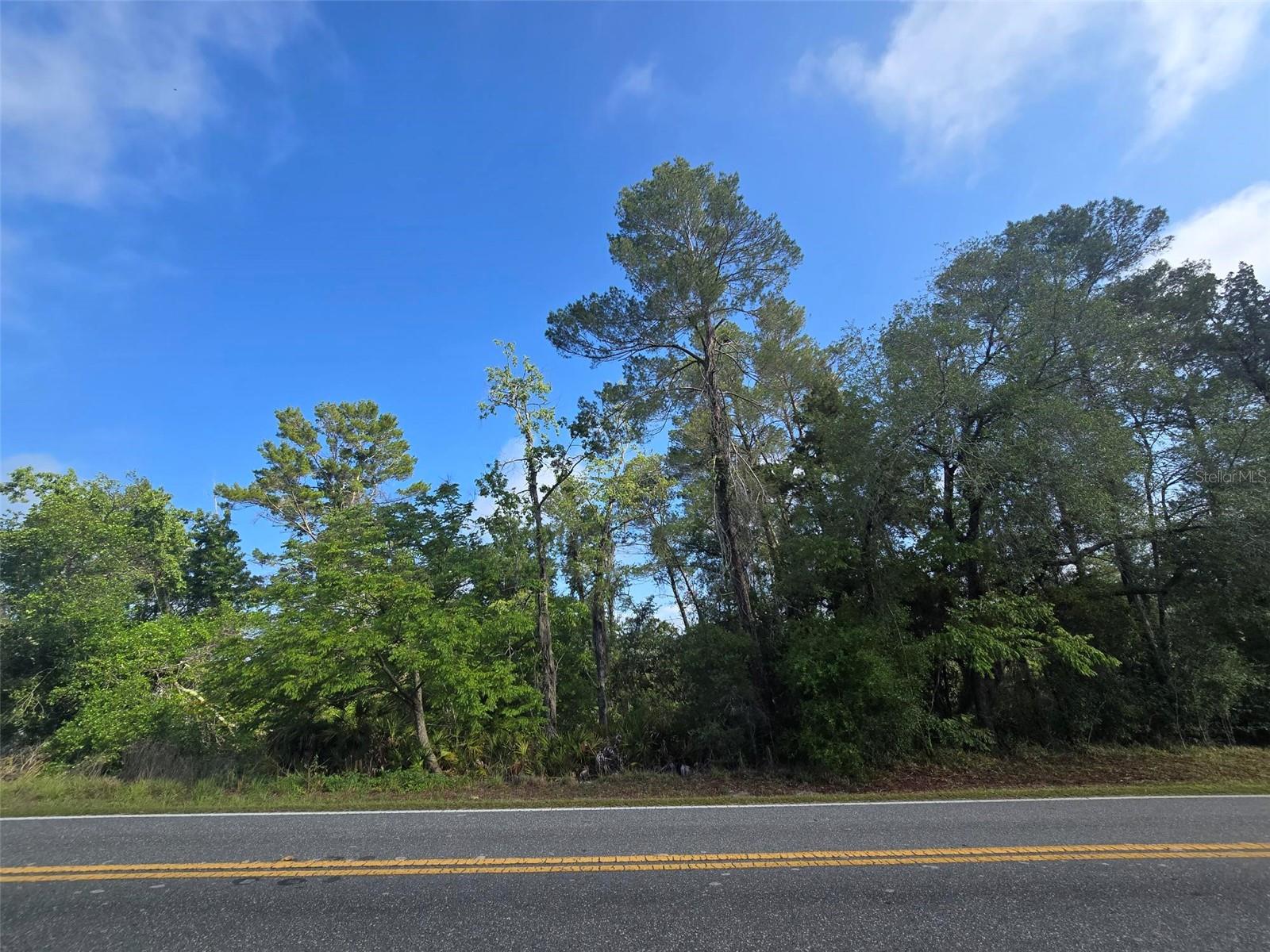 10185 NODDY TERN RD, WEEKI WACHEE, FL — photo 5