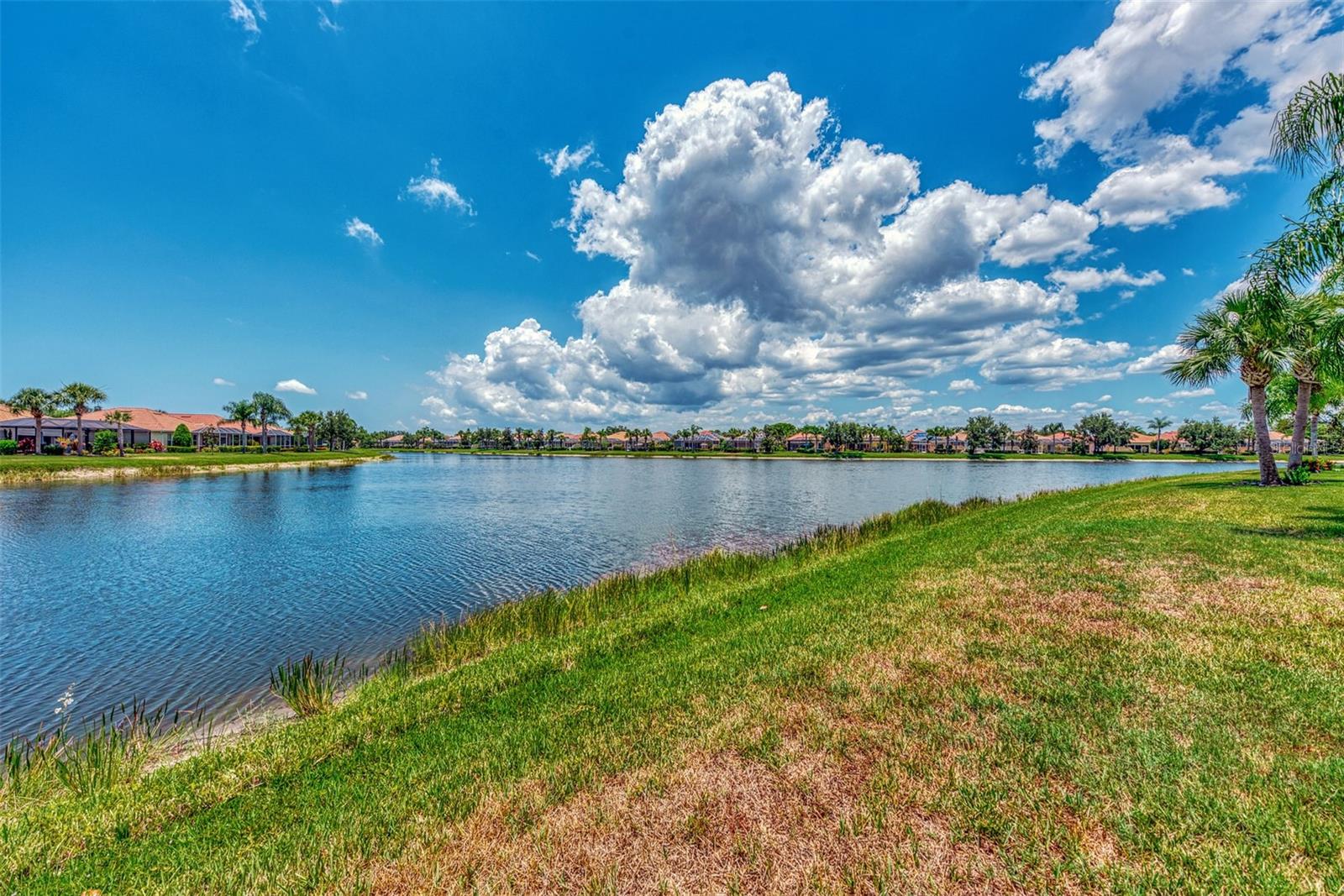 19191 LAPPACIO ST, VENICE, FL — photo 41