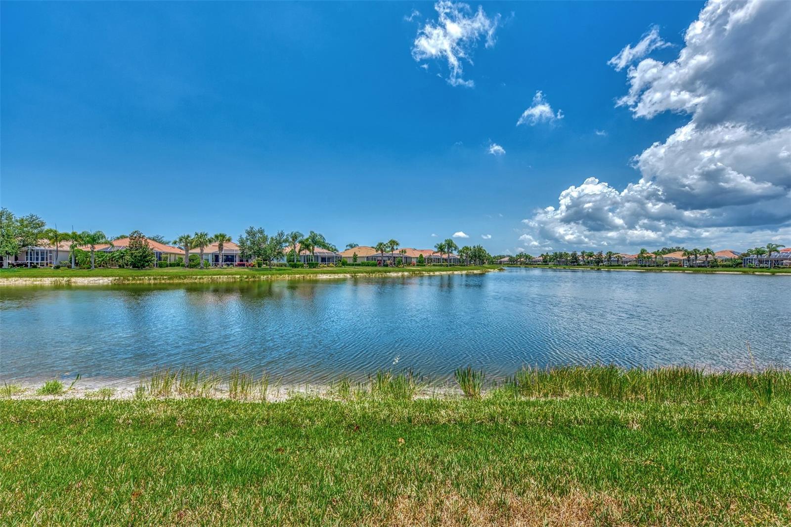 19191 LAPPACIO ST, VENICE, FL — photo 44