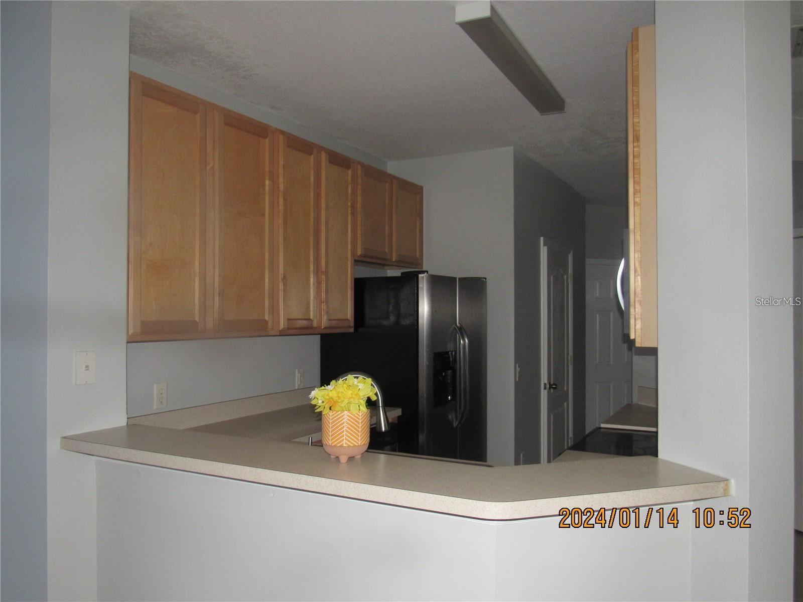 244 CHELSEA DR, DAVENPORT, FL — photo 6
