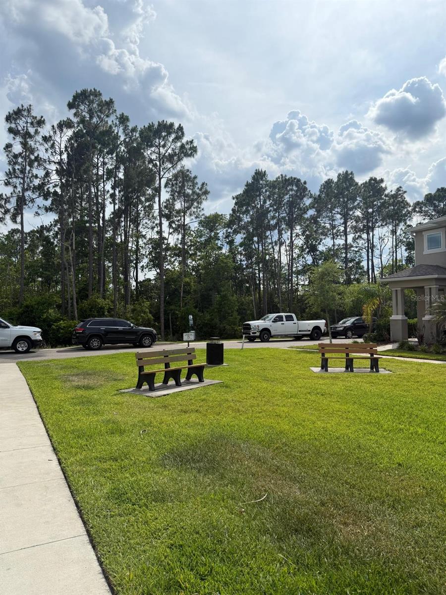 8866 HERENCIA ALY, WINDERMERE, FL — photo 4