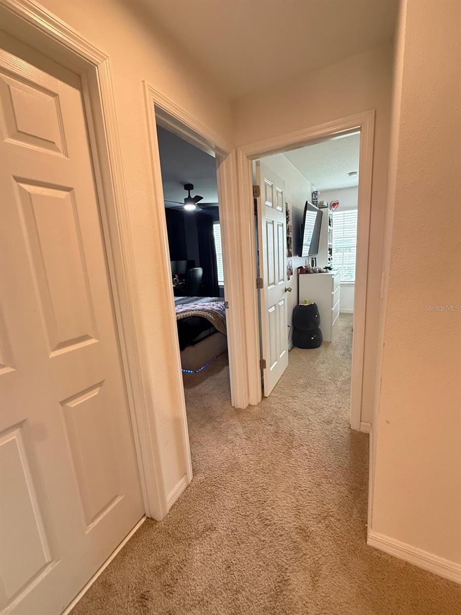 8866 HERENCIA ALY, WINDERMERE, FL — photo 19
