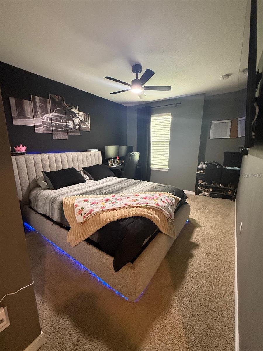 8866 HERENCIA ALY, WINDERMERE, FL — photo 22