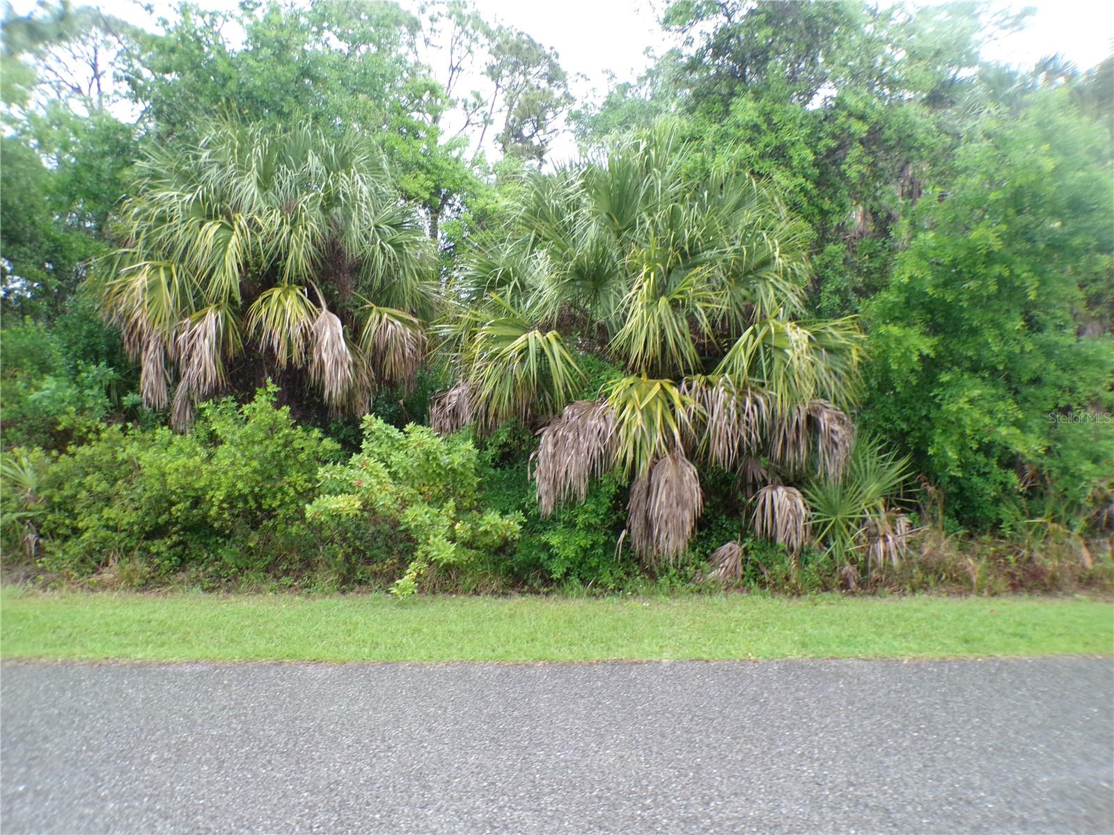 SHALIMAR TER, NORTH PORT, FL — photo 2