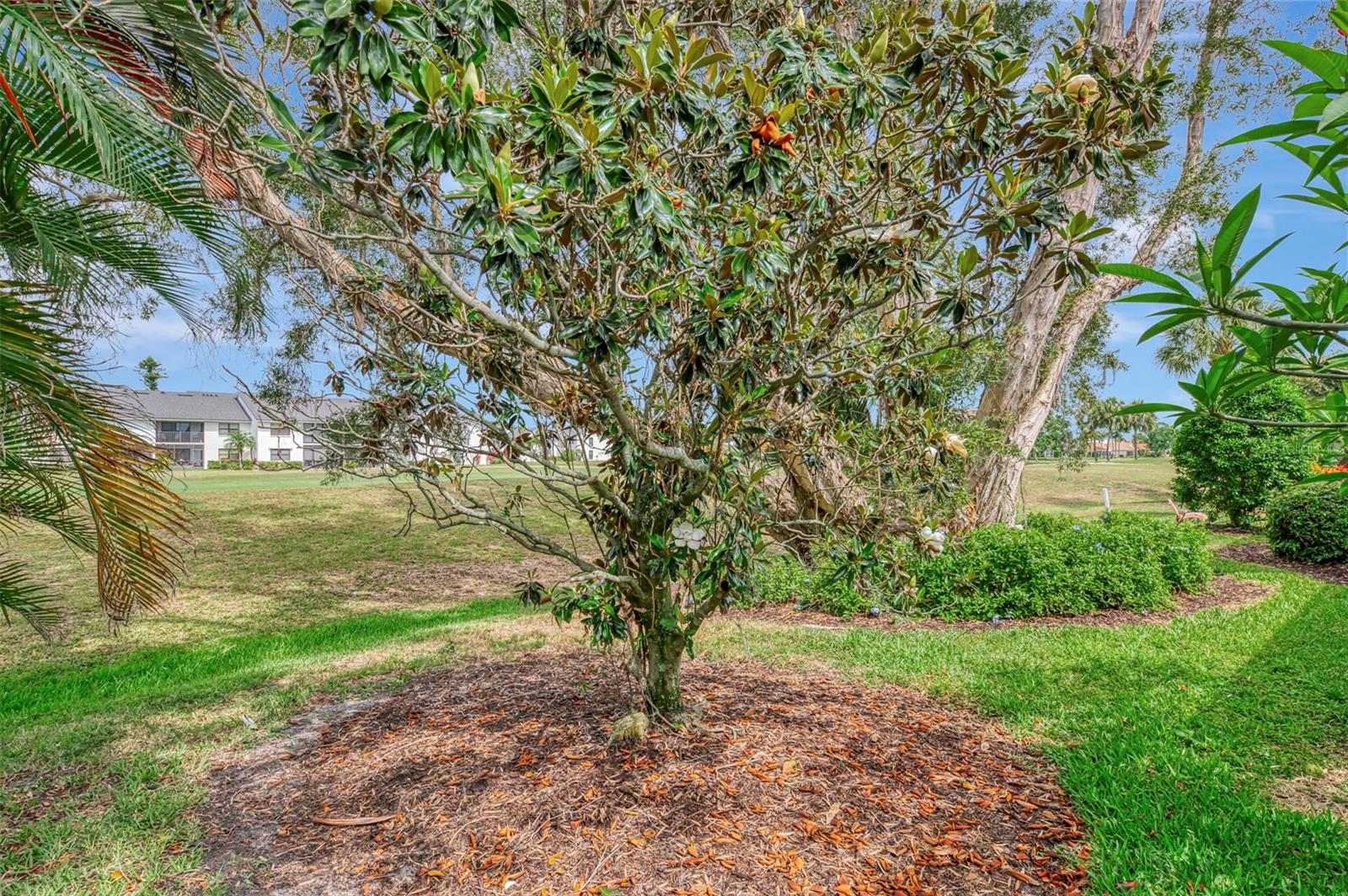625 MISTY PINE DR, VENICE, FL — photo 41