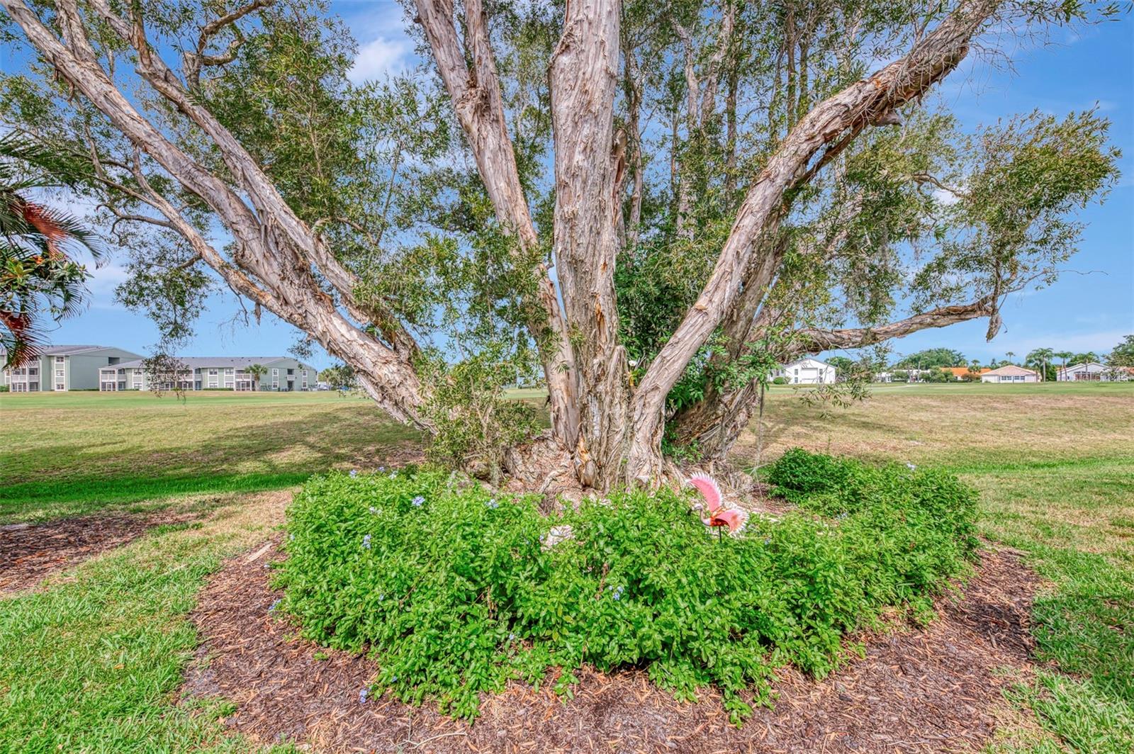 625 MISTY PINE DR, VENICE, FL — photo 42