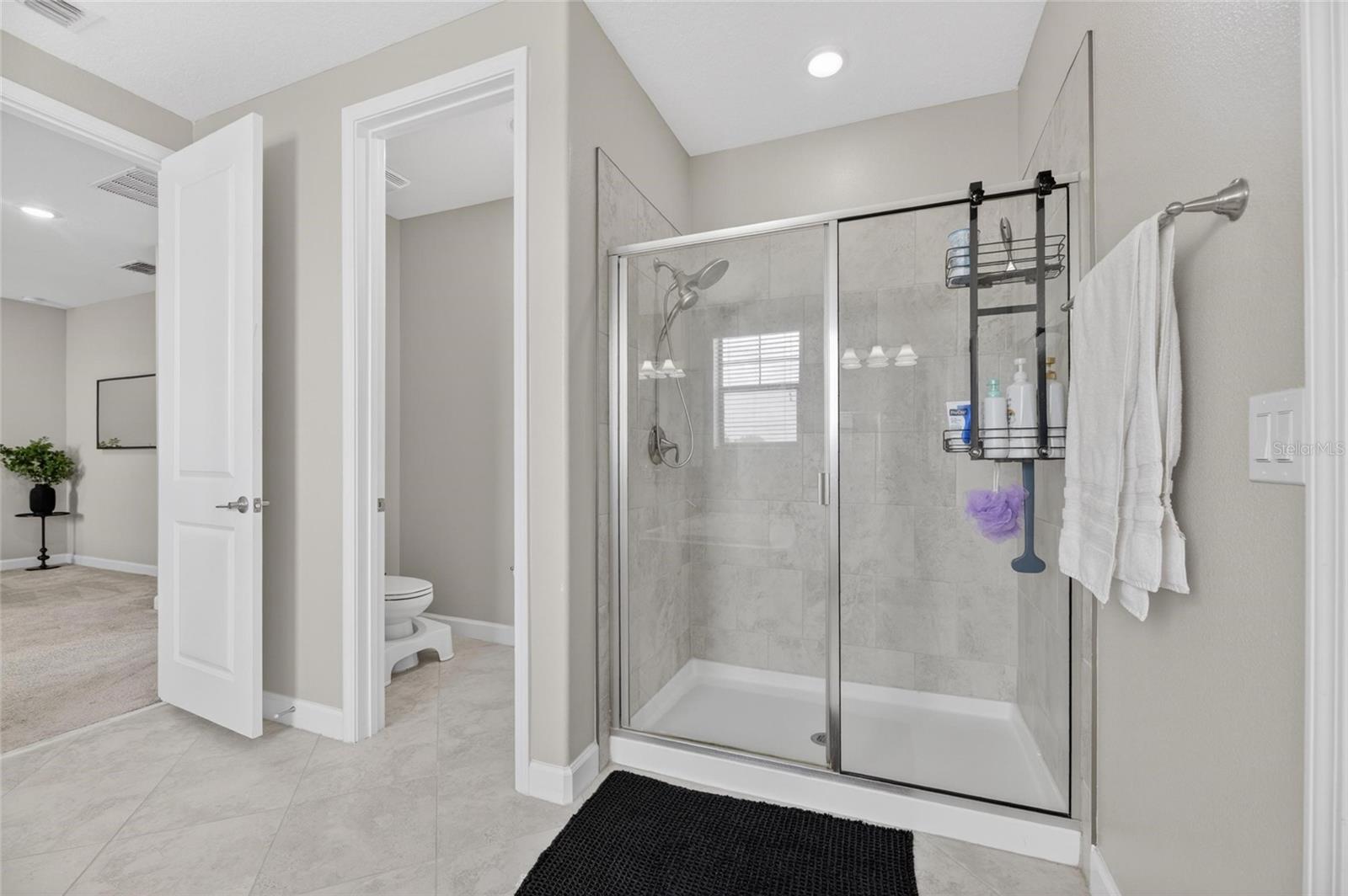 2905 HILLIARD DR, WESLEY CHAPEL, FL — photo 11