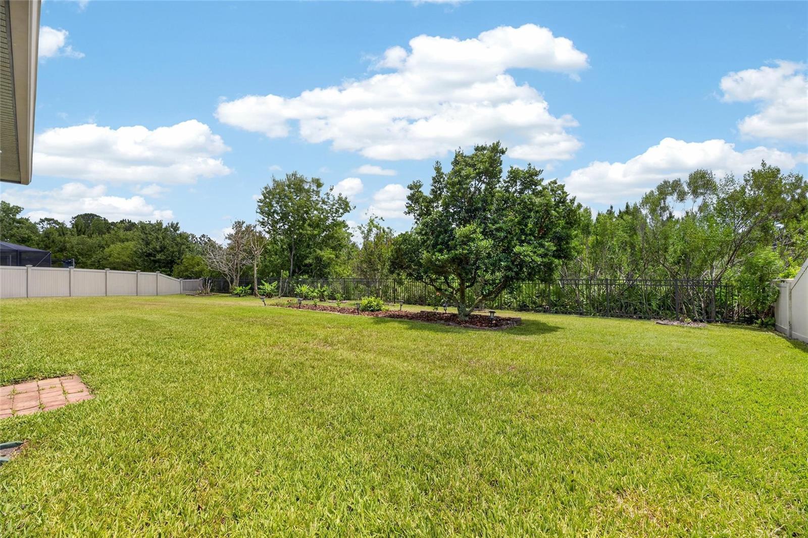 2905 HILLIARD DR, WESLEY CHAPEL, FL — photo 39