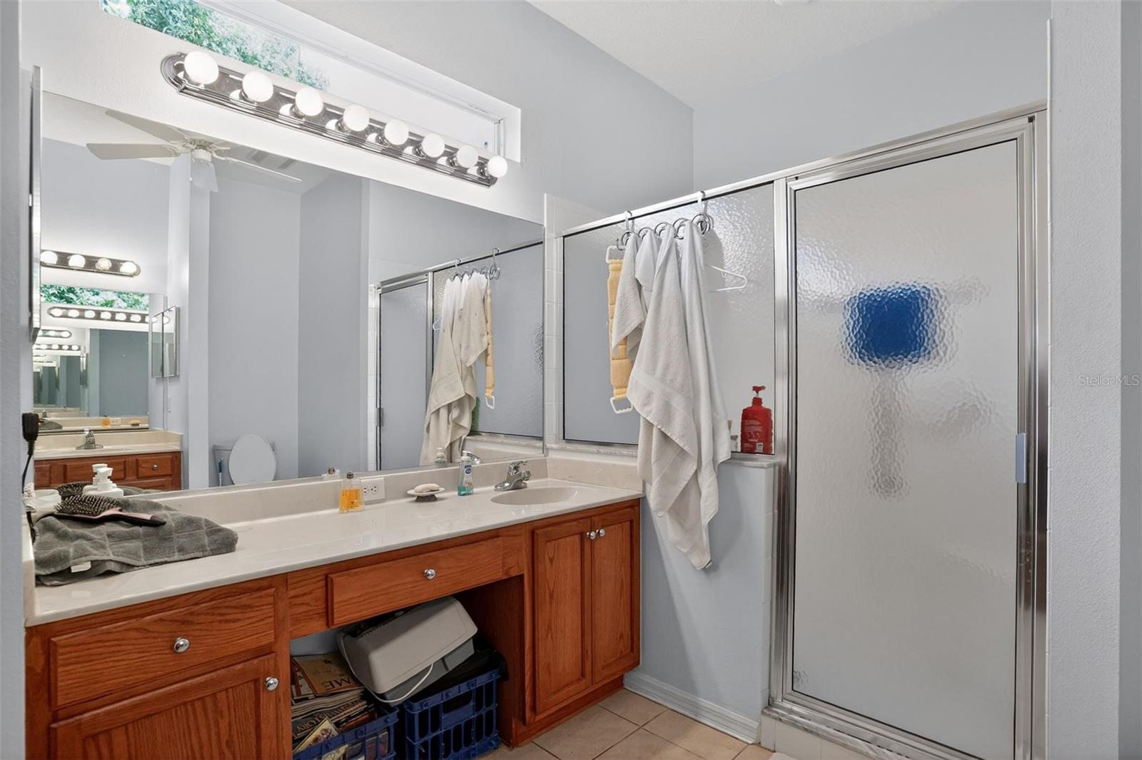24001 ROBINWOOD ST, LEESBURG, FL — photo 49