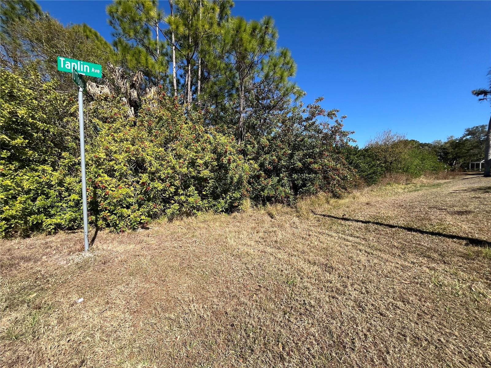 TAPLIN AVE, NORTH PORT, FL — photo 4