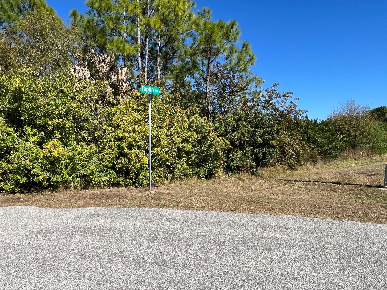 TAPLIN AVE, NORTH PORT, FL — photo 5