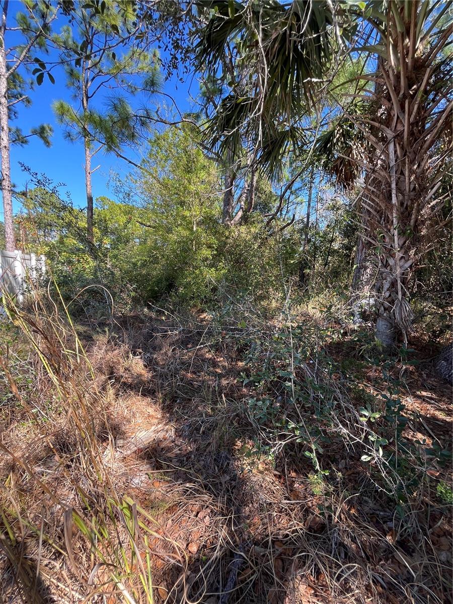 TAPLIN AVE, NORTH PORT, FL — photo 6