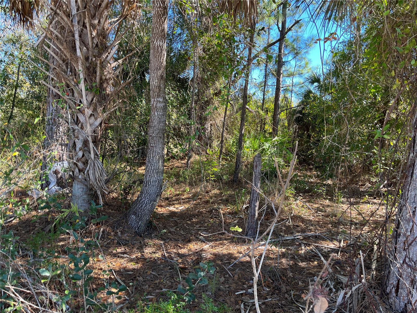TAPLIN AVE, NORTH PORT, FL — photo 7