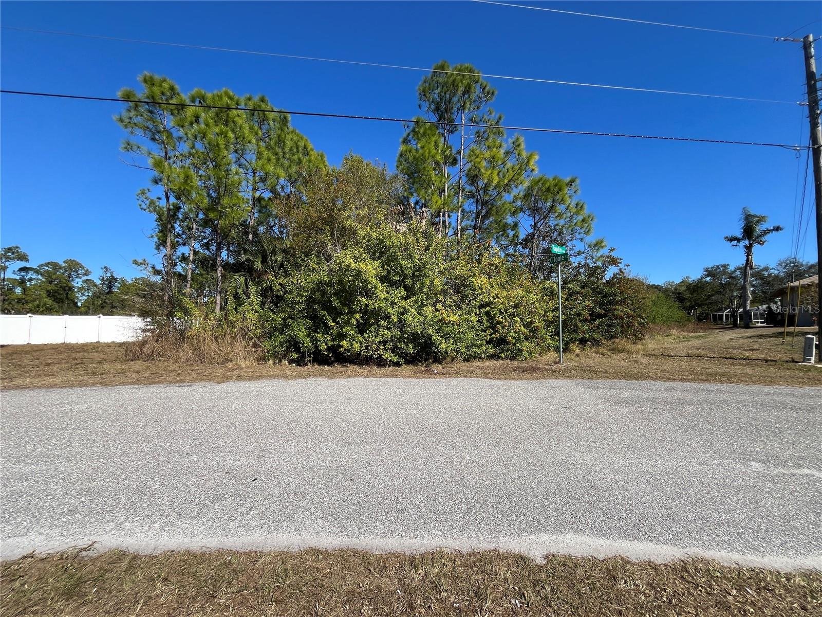 TAPLIN AVE, NORTH PORT, FL — photo 9