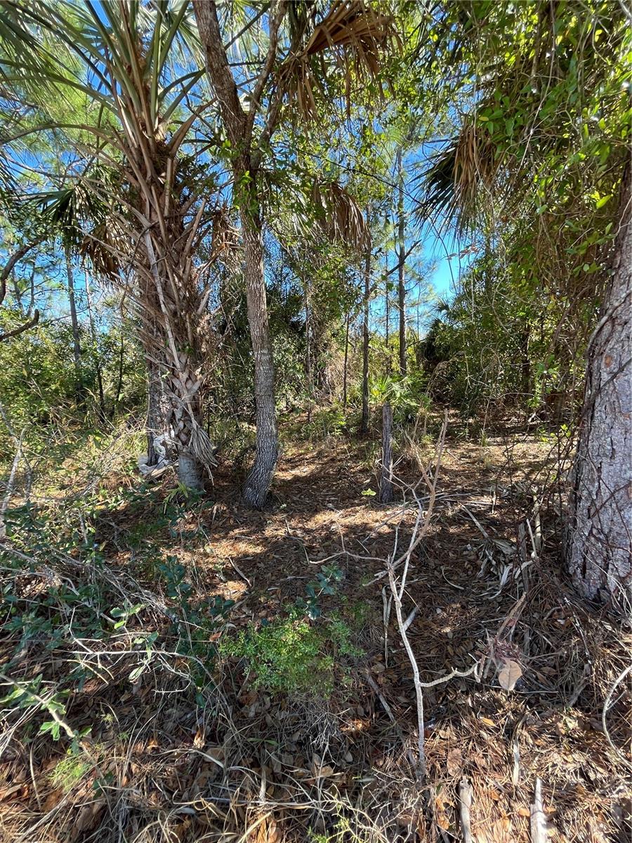 TAPLIN AVE, NORTH PORT, FL — photo 10