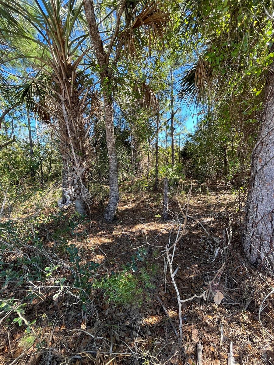TAPLIN AVE, NORTH PORT, FL — photo 11