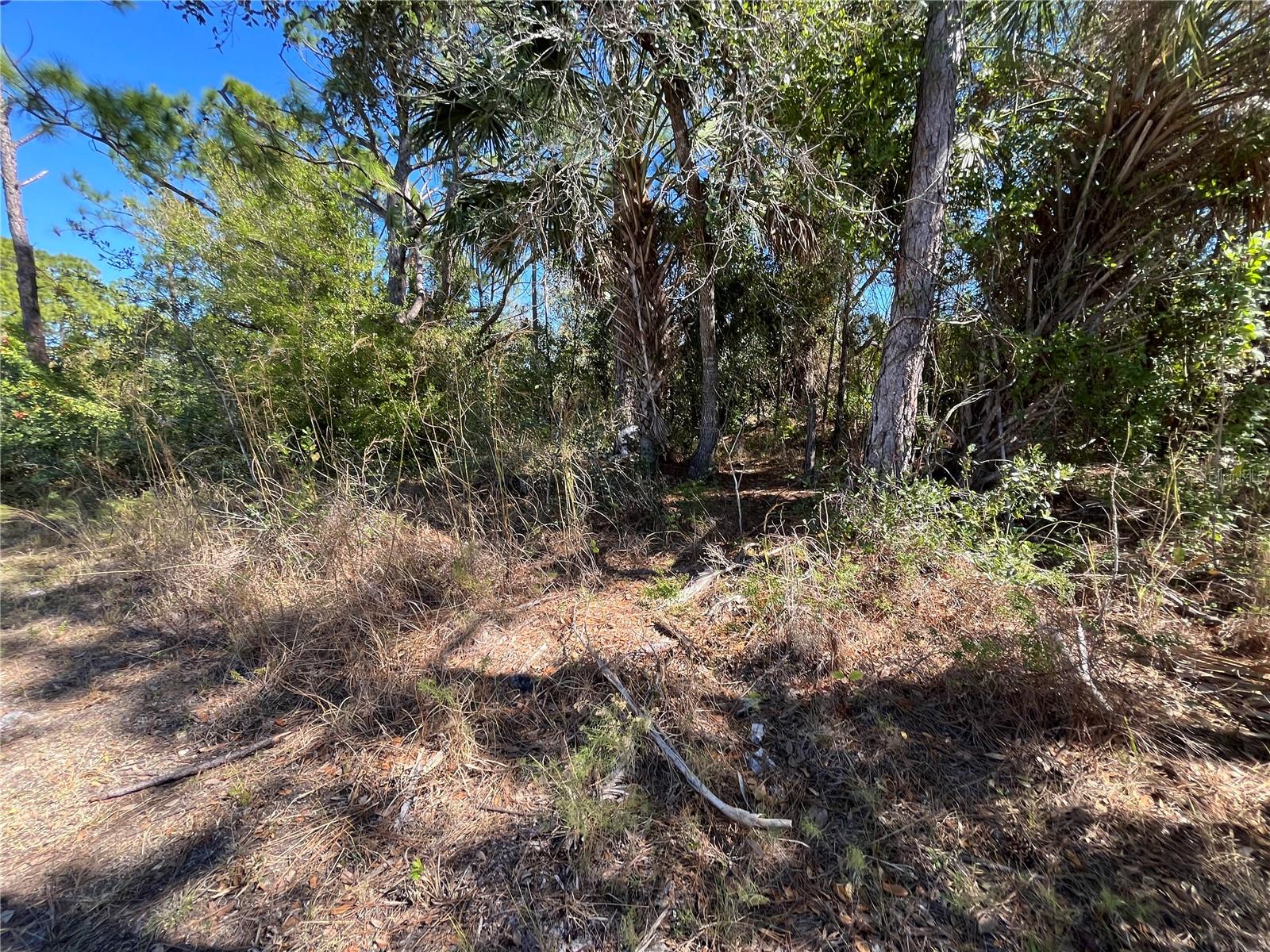 TAPLIN AVE, NORTH PORT, FL — photo 13
