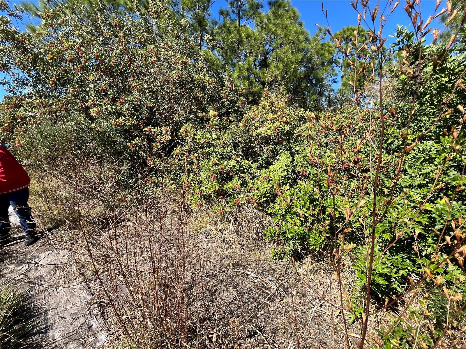 TAPLIN AVE, NORTH PORT, FL — photo 15