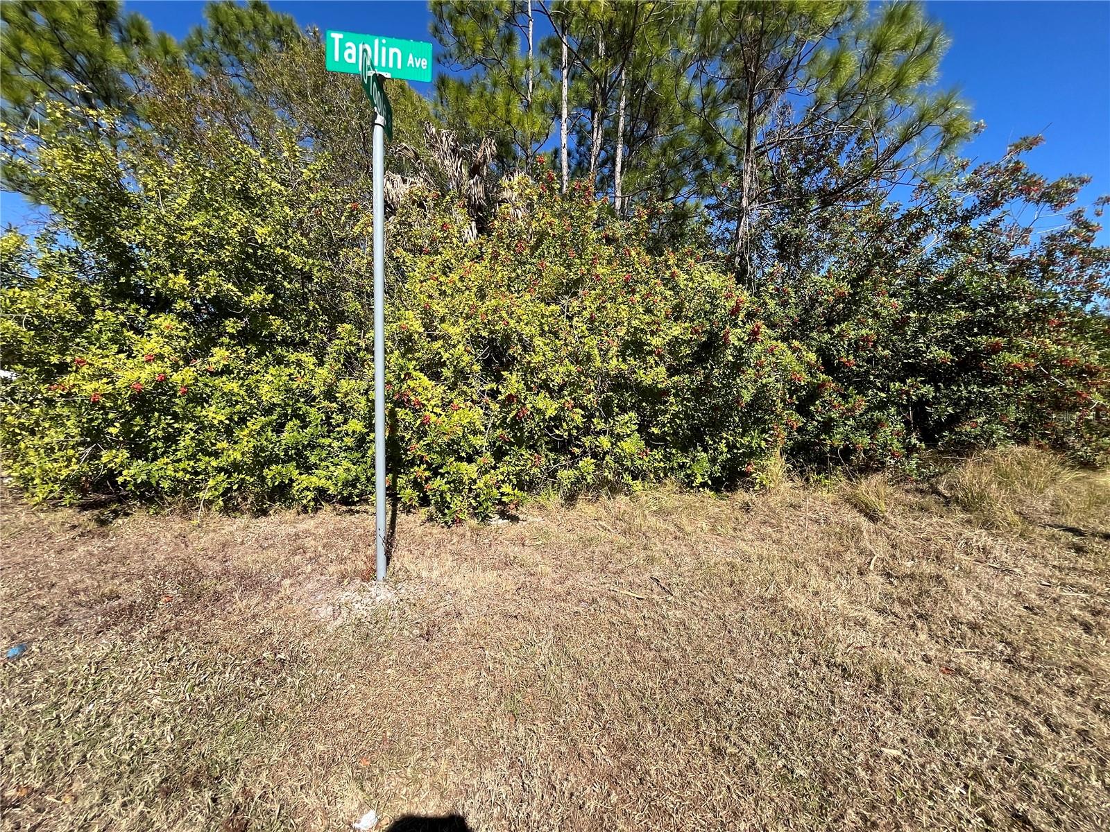 TAPLIN AVE, NORTH PORT, FL — photo 16