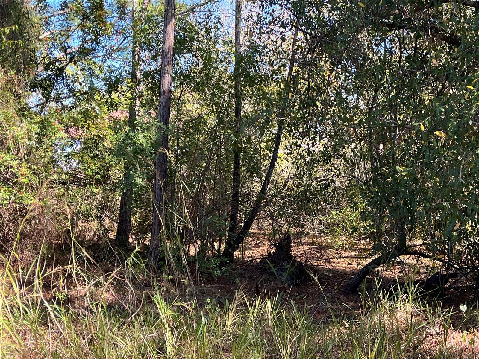 TAPLIN AVE, NORTH PORT, FL — photo 17