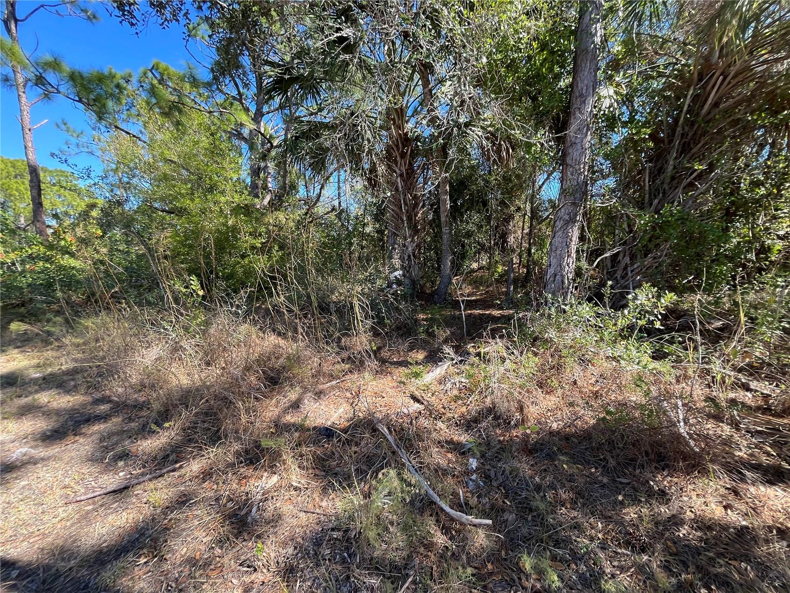 TAPLIN AVE, NORTH PORT, FL — photo 22
