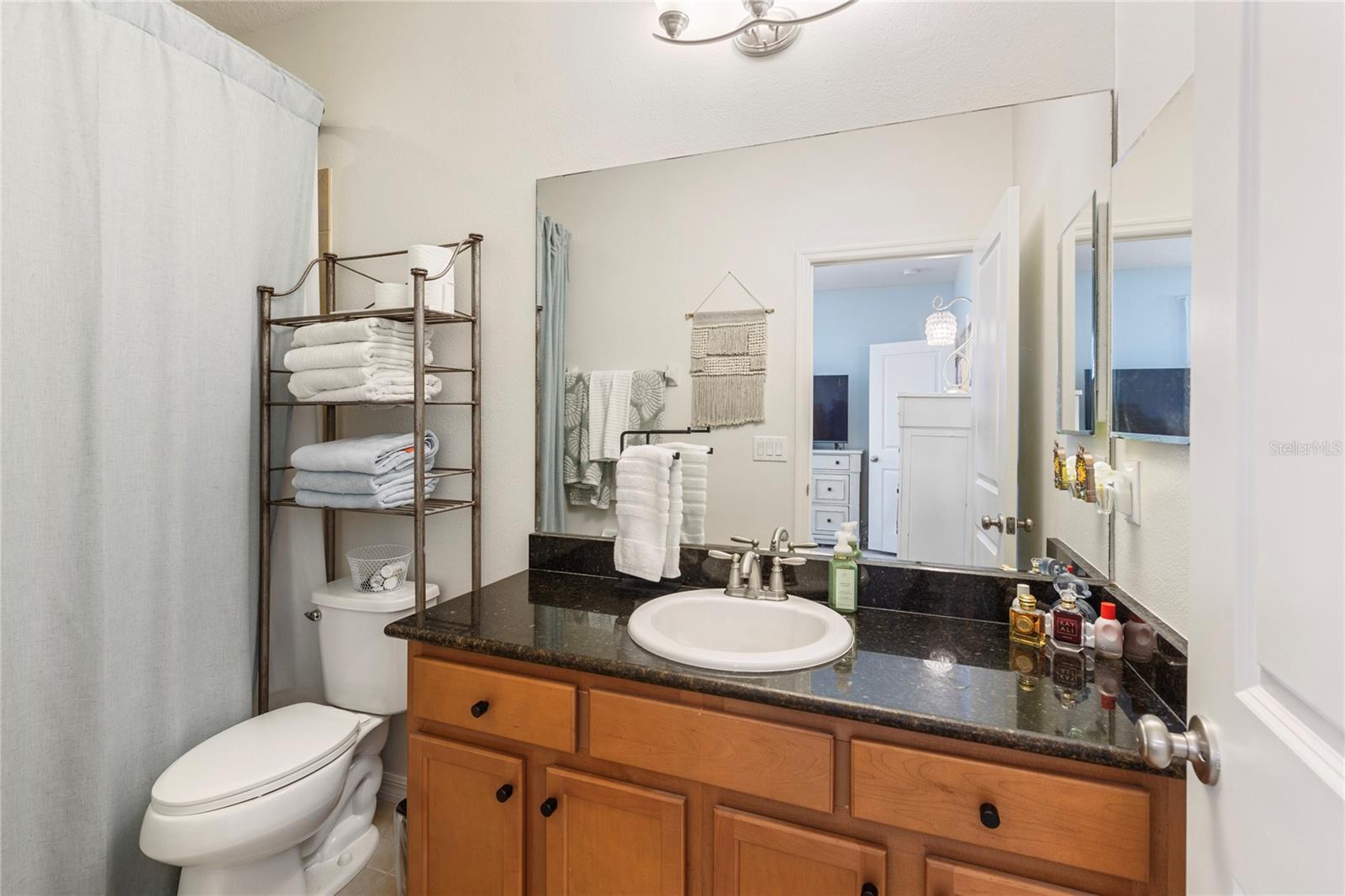 8791 BELLA VITA CIR, LAND O LAKES, FL — photo 58