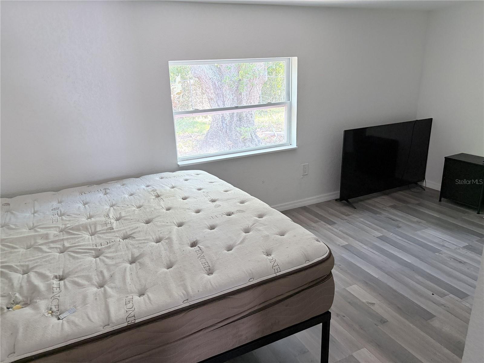 3818 MOOG RD, HOLIDAY, FL — photo 14
