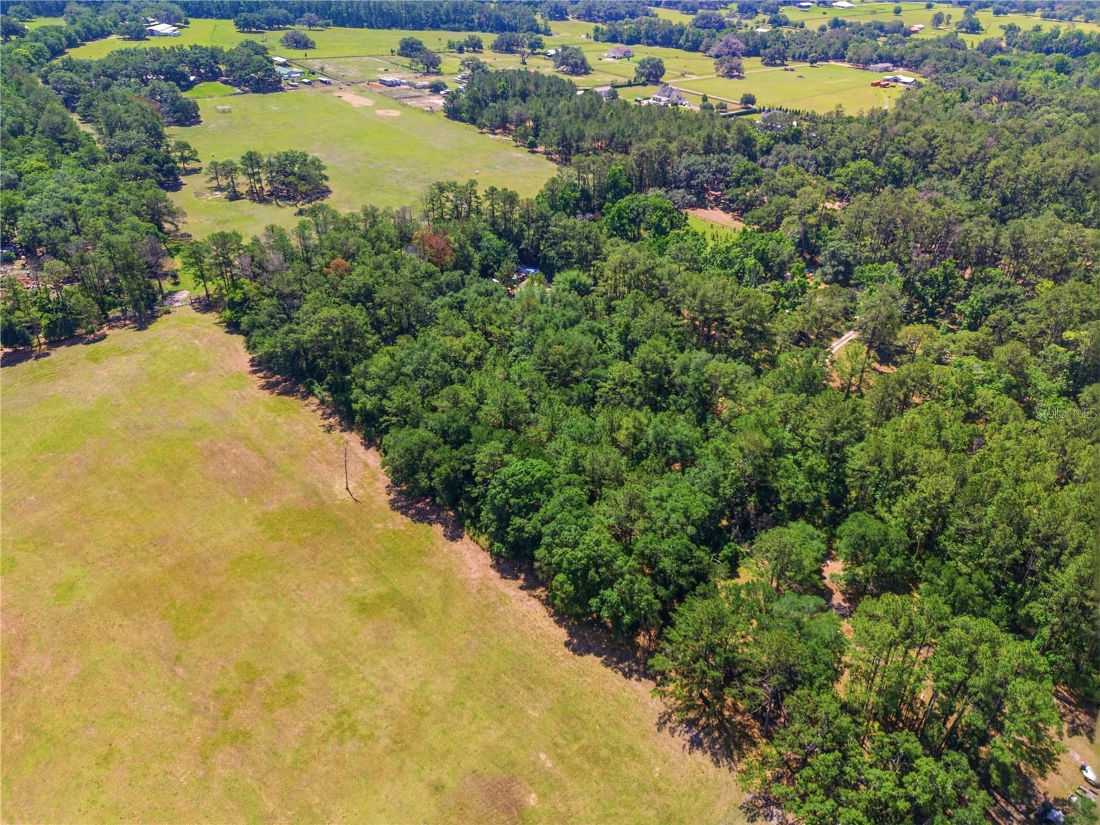 1074 CULBREATH RD, BROOKSVILLE, FL — photo 6