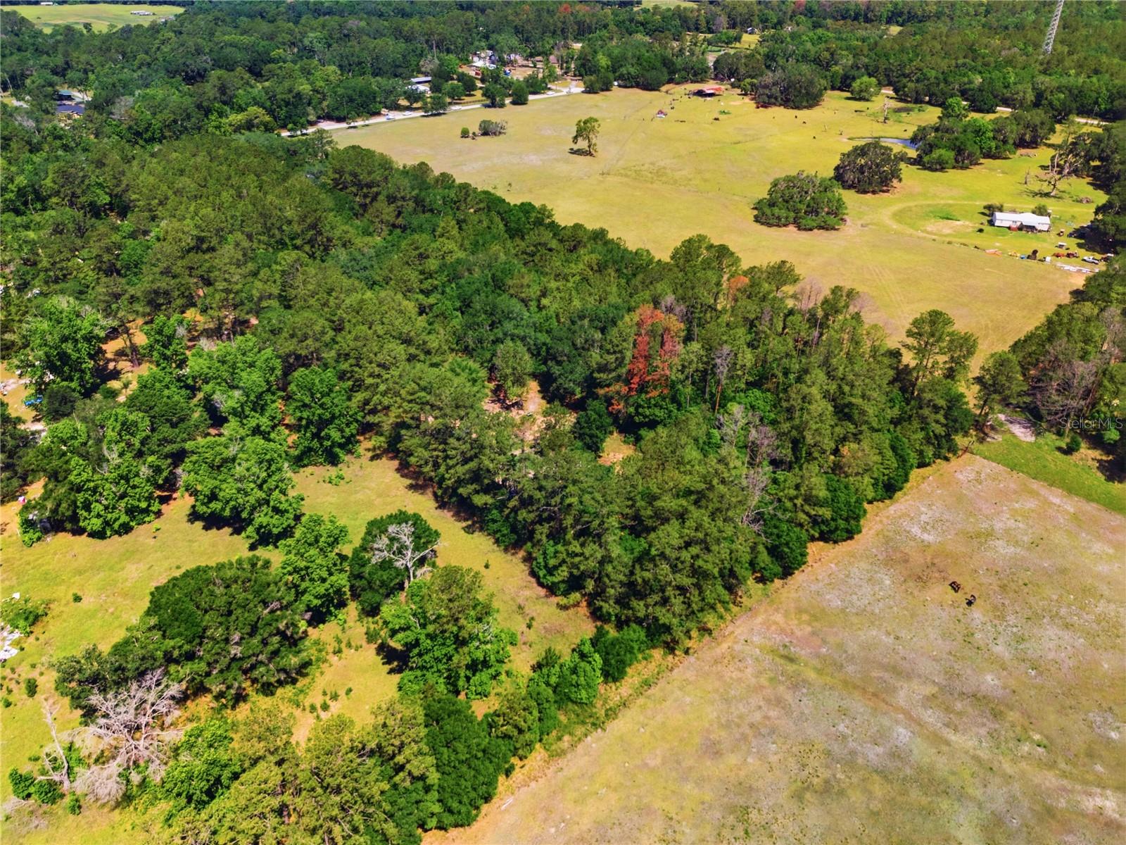 1074 CULBREATH RD, BROOKSVILLE, FL — photo 13