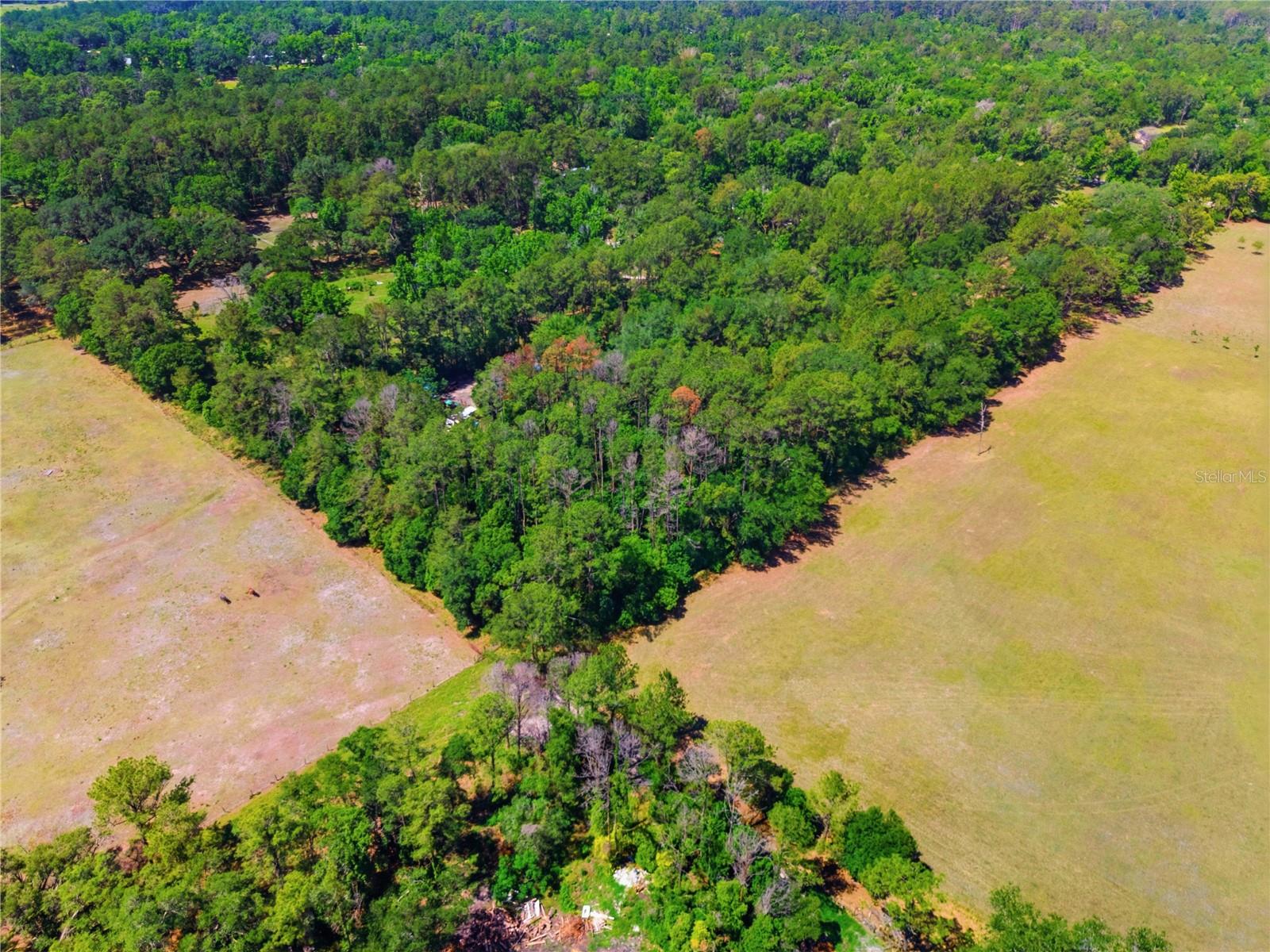 1074 CULBREATH RD, BROOKSVILLE, FL — photo 15