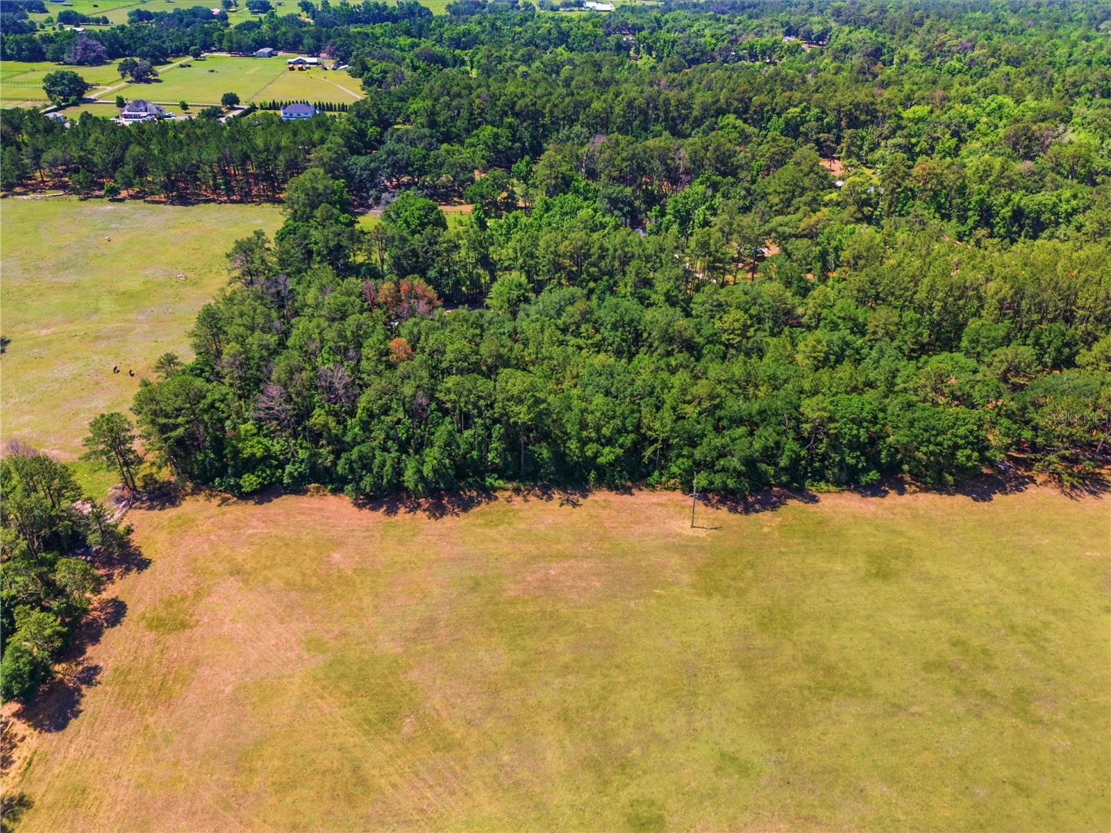1074 CULBREATH RD, BROOKSVILLE, FL — photo 16