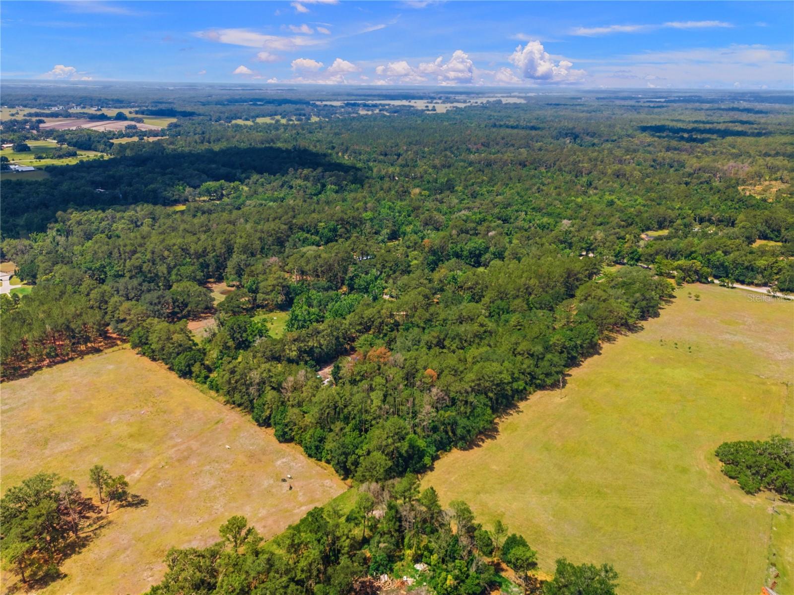 1074 CULBREATH RD, BROOKSVILLE, FL — photo 20