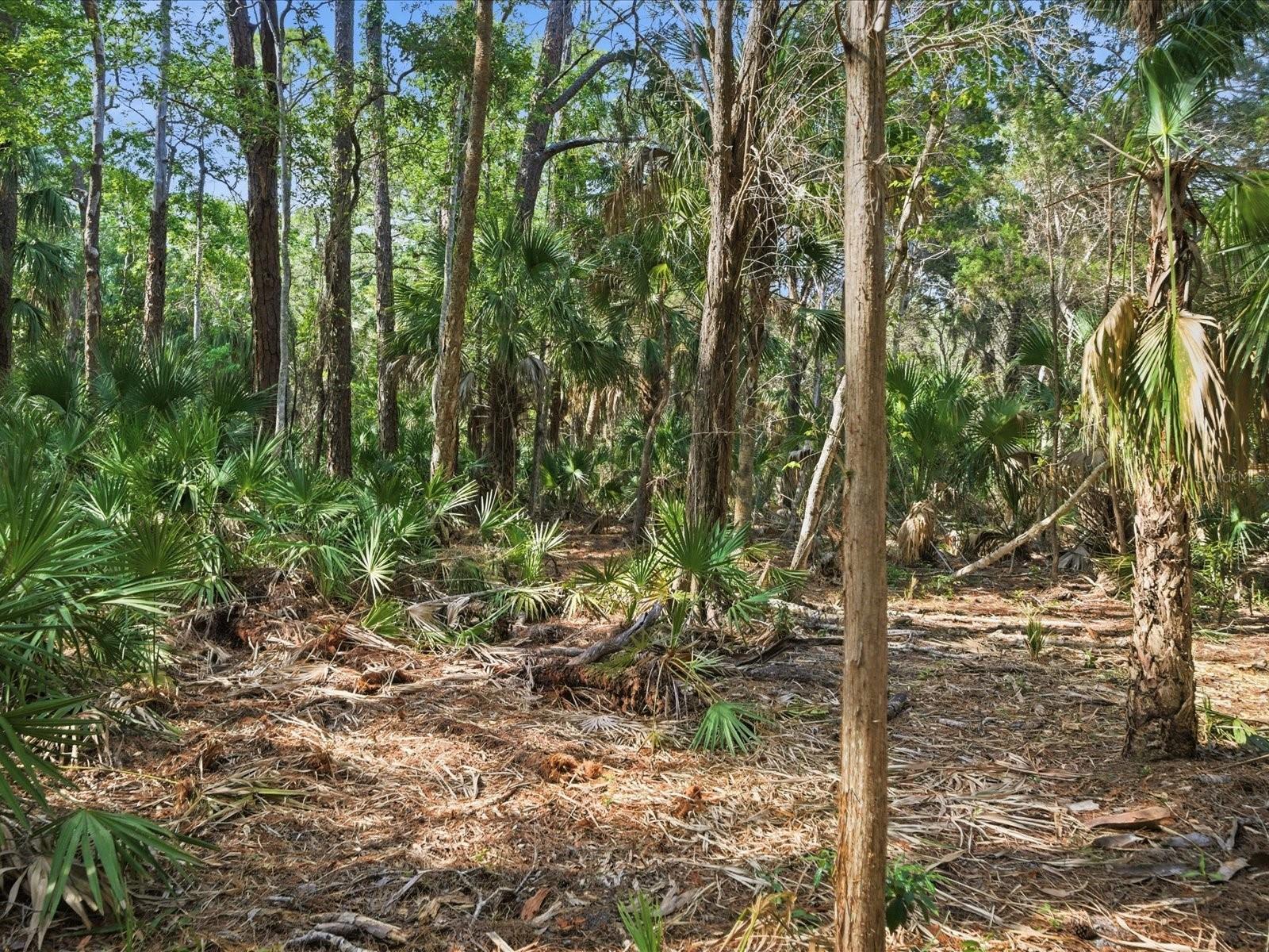 0 OSOWAW, SPRING HILL, FL — photo 5