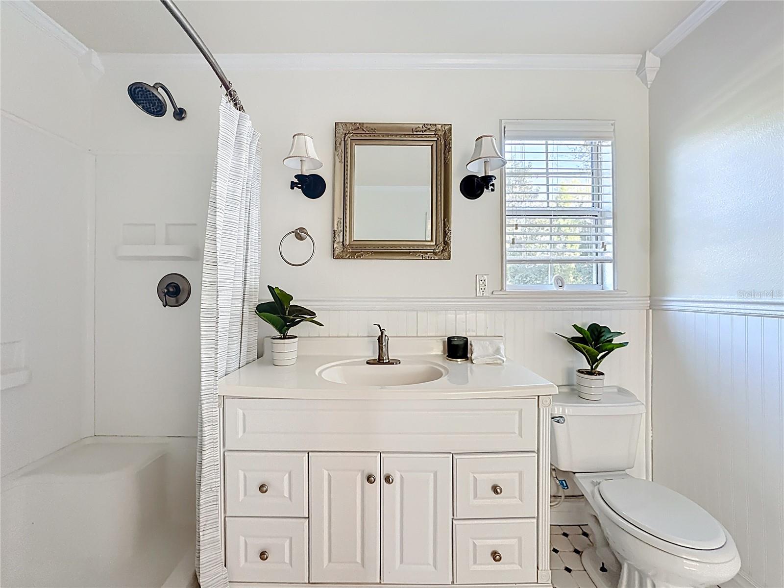 1148 N GRANDVIEW ST, MOUNT DORA, FL — photo 92