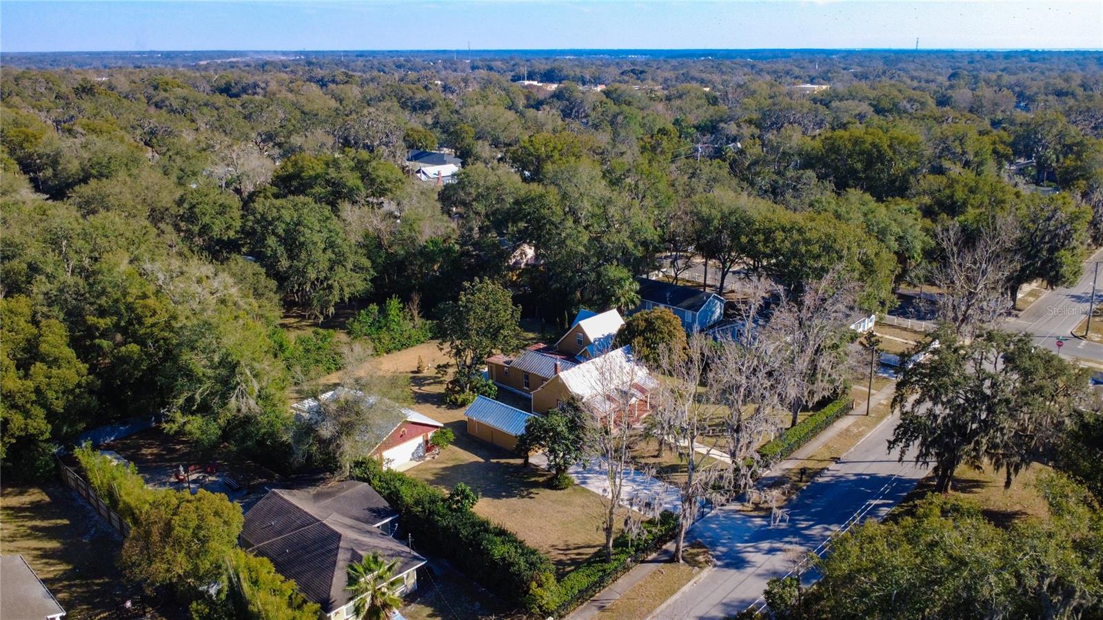 1148 N GRANDVIEW ST, MOUNT DORA, FL — photo 146
