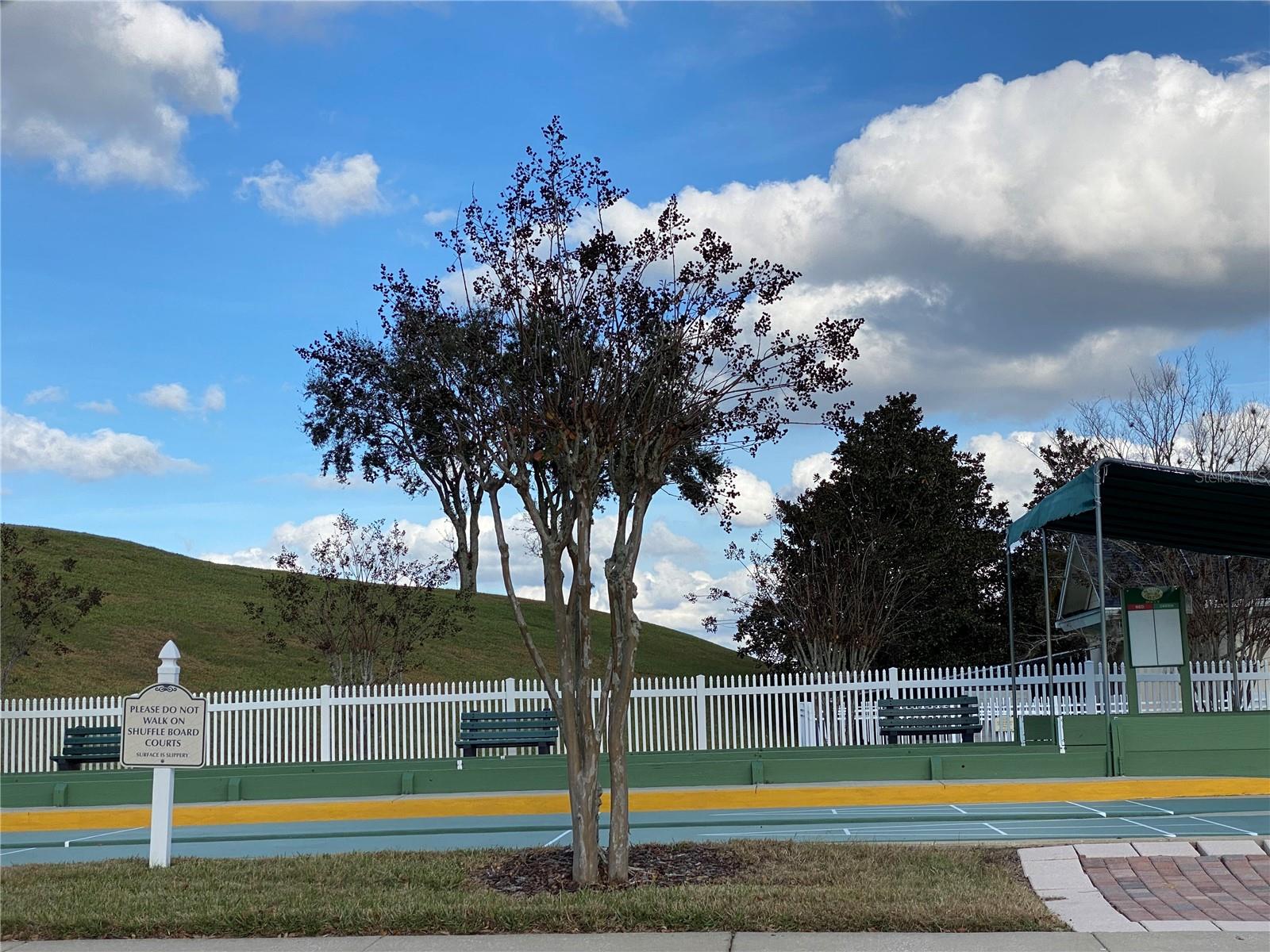 785 SUMMIT GREENS BLVD, CLERMONT, FL — photo 109