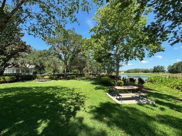 917 WATERSIDE LN #203, CELEBRATION, FL — photo 35