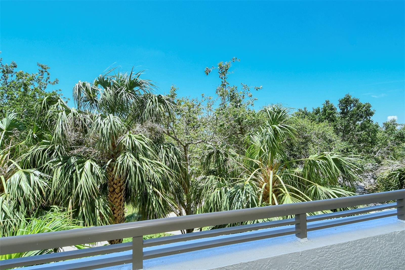 800 N TAMIAMI TRL #203, SARASOTA, FL — photo 8