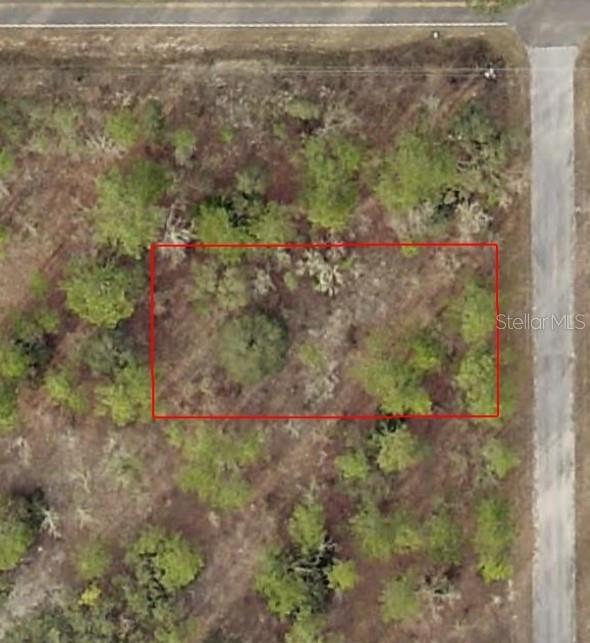TBD SW TEMPLE HEIGHTS CT, DUNNELLON, FL
