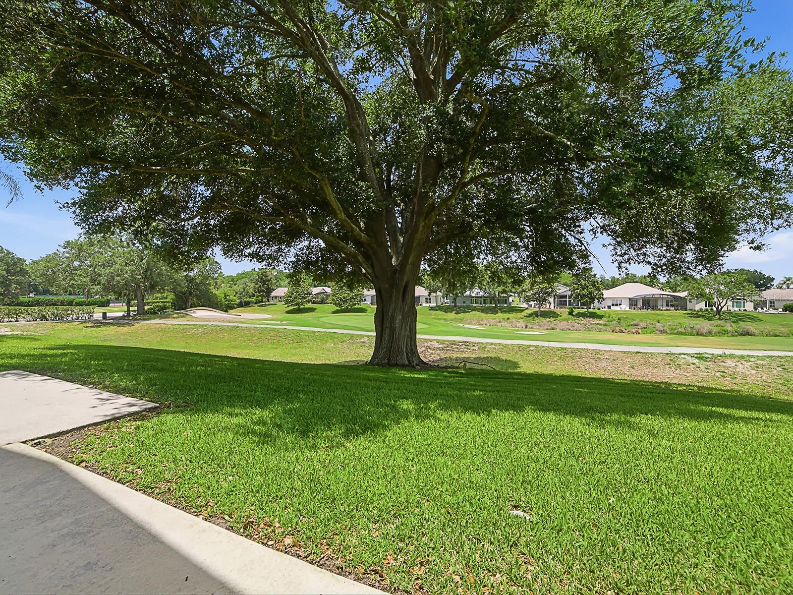 5106 CHANTICLEER DR, LEESBURG, FL — photo 76