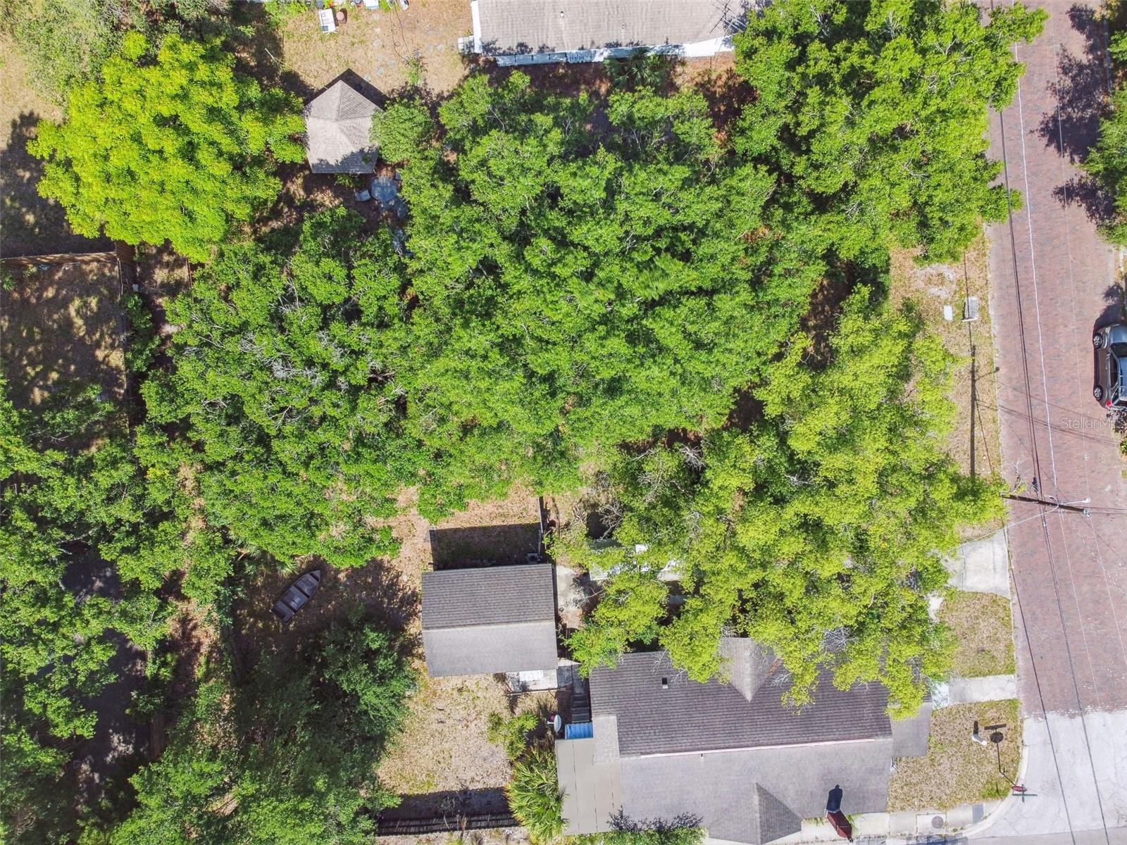 702 W VIRGINIA AVE, TAMPA, FL — photo 66