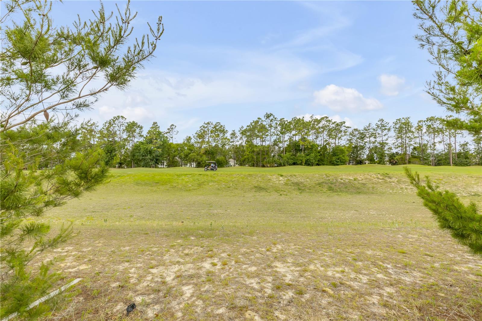 48 HICKORY CRSE, OCALA, FL — photo 42