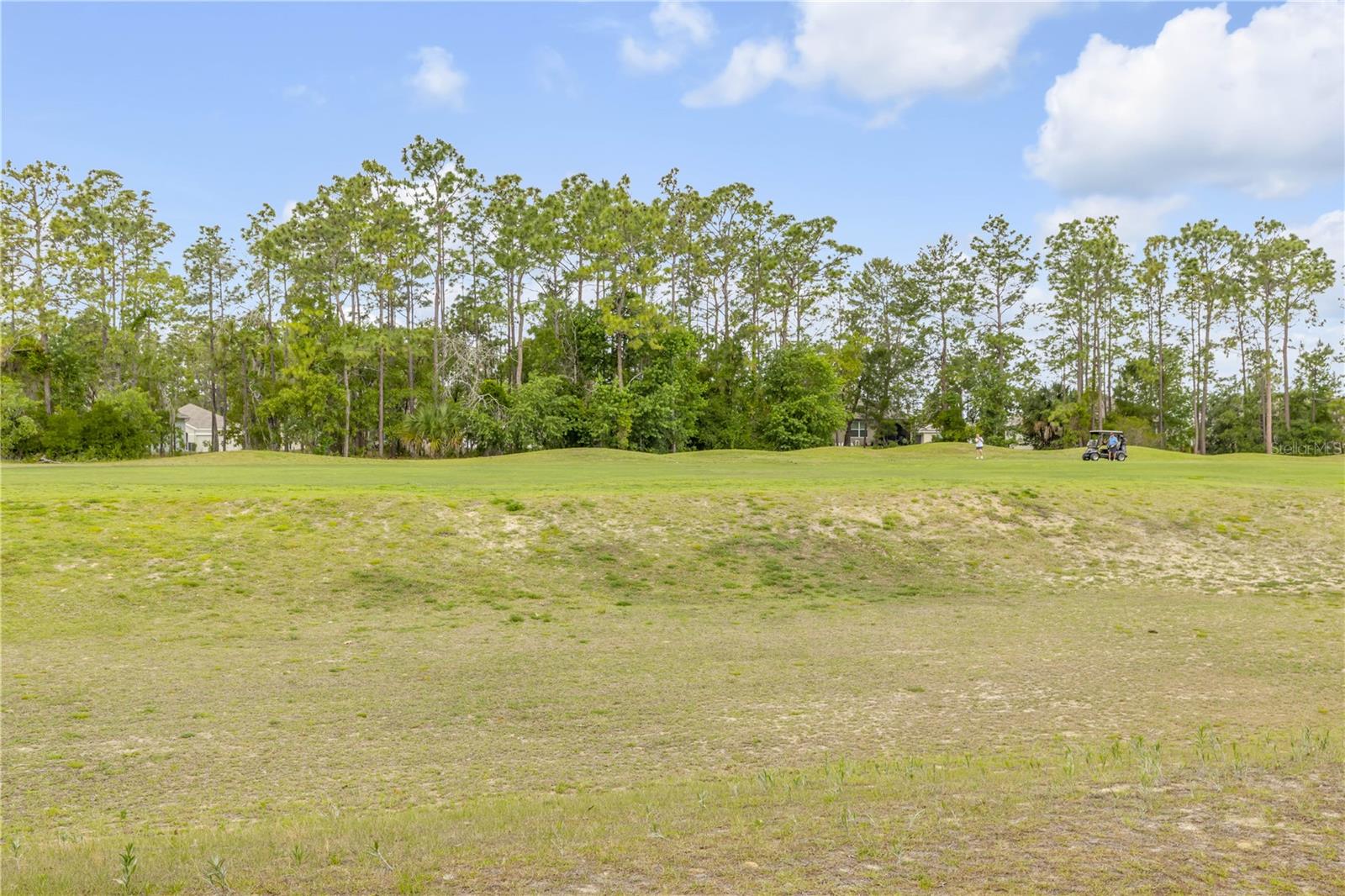 48 HICKORY CRSE, OCALA, FL — photo 44