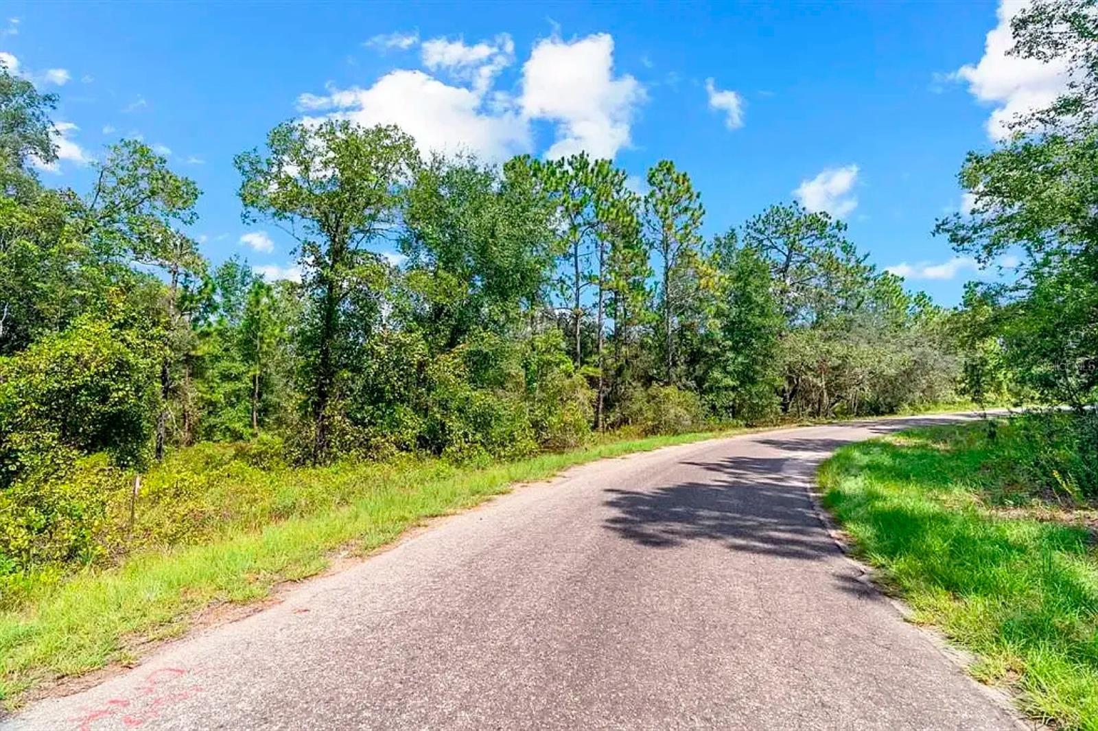 175 FISHER LN CT, OCKLAWAHA, FL — photo 4