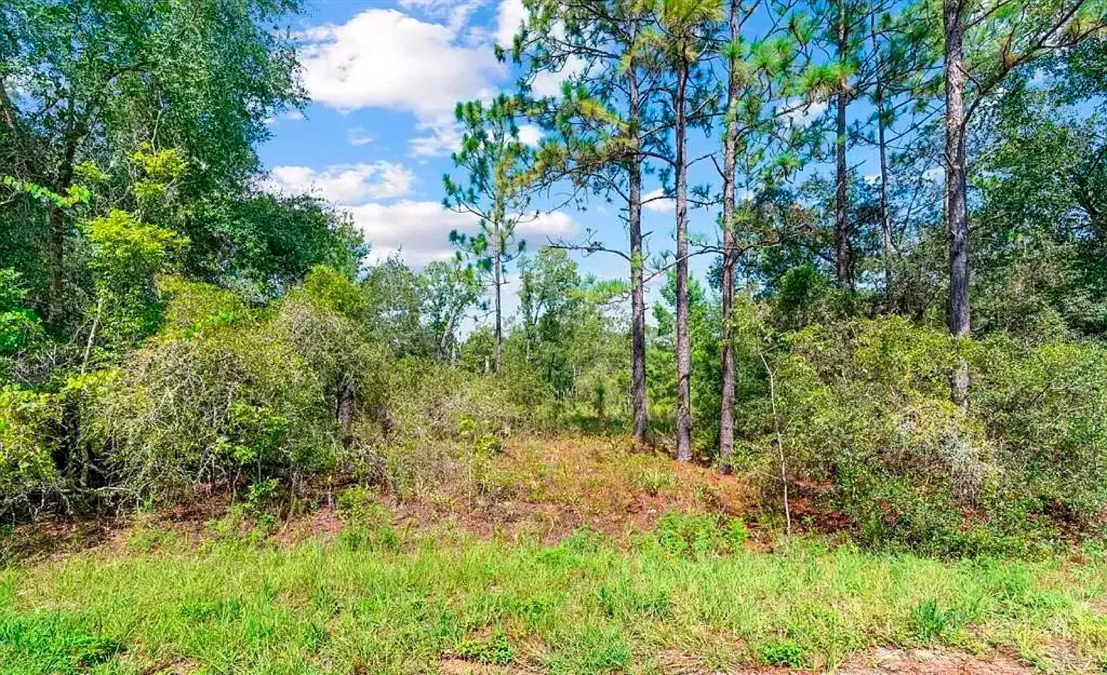 175 FISHER LN CT, OCKLAWAHA, FL — photo 5